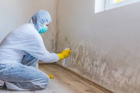 Why You Should Choose Our Mold Remediation Services in Placeholder9